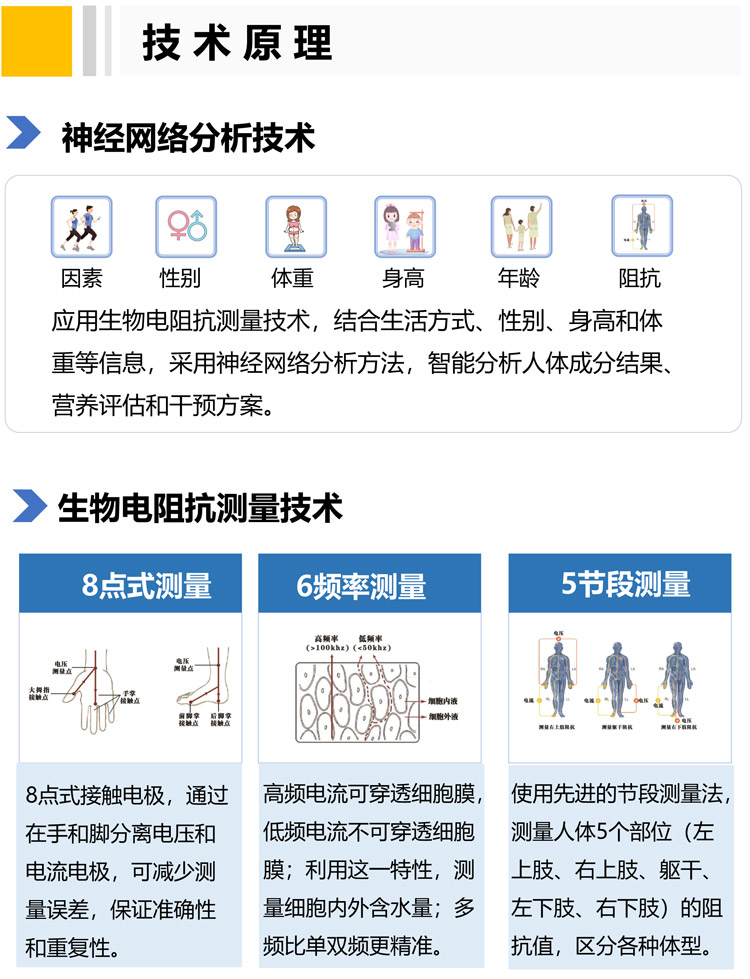 人體成分分析儀